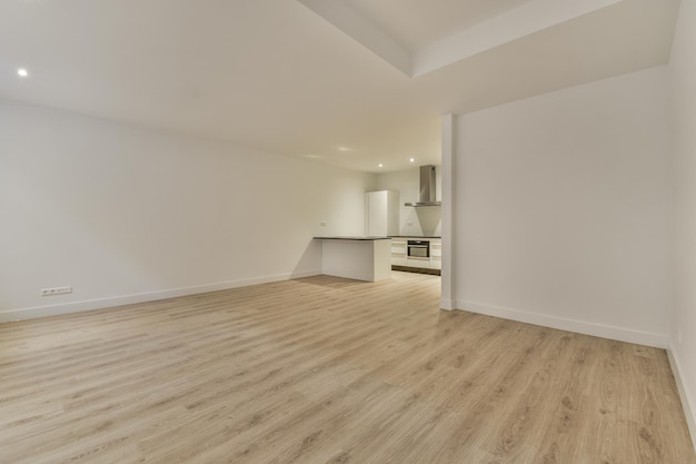 Spacious bright white kitchen with corridor