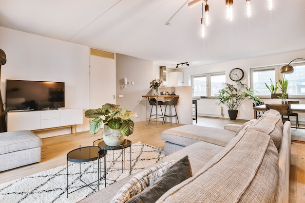 Photo spacious living room