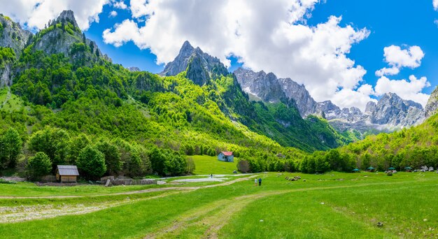 巨大な山々に囲まれた広々とした美しい牧草地