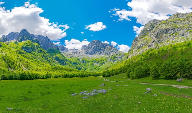 Spacious picturesque meadows among the huge mountains