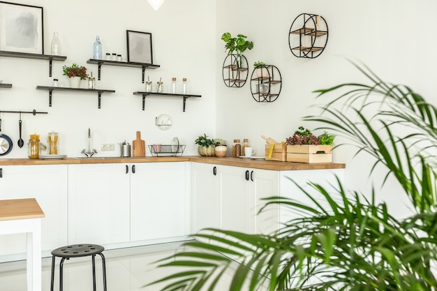 spacious studio apartment decorated with wood and white. minimalist design with huge windows in the sunlight. kitchen area and living area