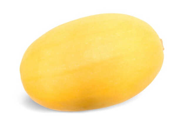 Spaghetti Squash Isolated on White Background with Clipping Path