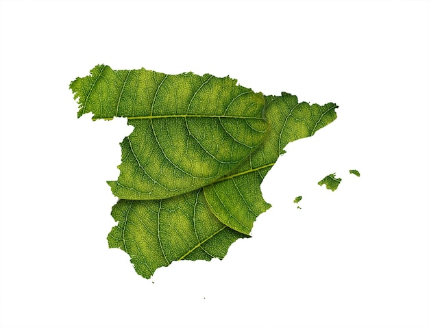 Foto mappa della spagna fatta di foglie verdi sul concetto di ecologia del fondo del suolo