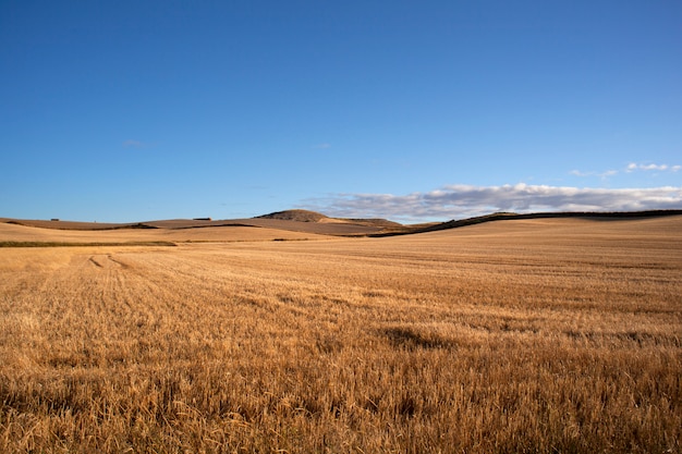 Spanish countryside