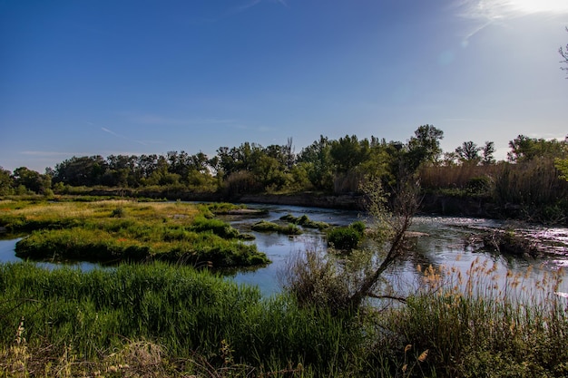 Photo spanish landscape by the gallego river in aragon on a warm summer sun day with green trees and blue skies