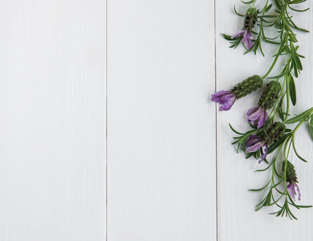 Spanish lavender on a table