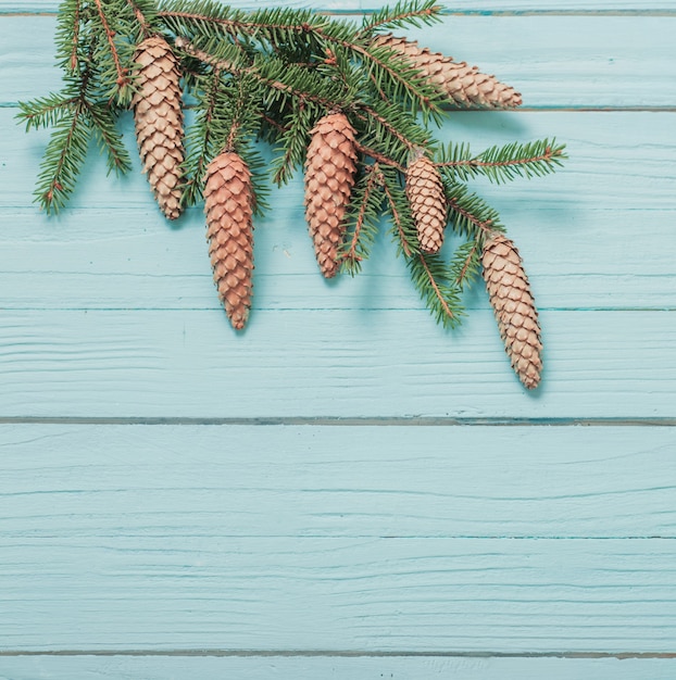 Spar takken met kegels op blauwe houten achtergrond