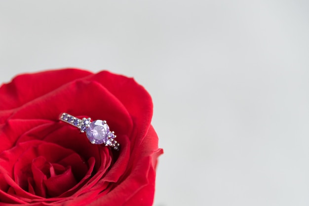 Sparkling engagement ring inside red rose.