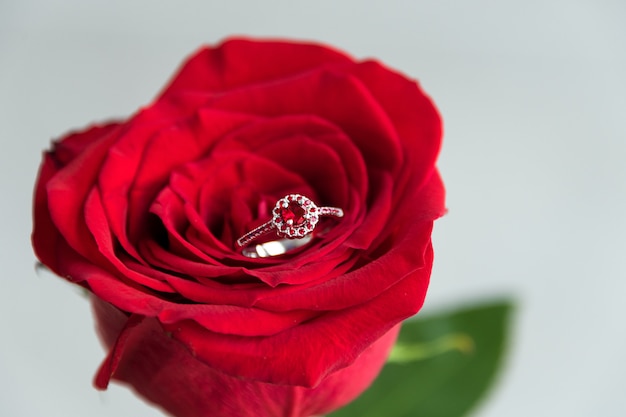 Sparkling engagement ring inside red rose.