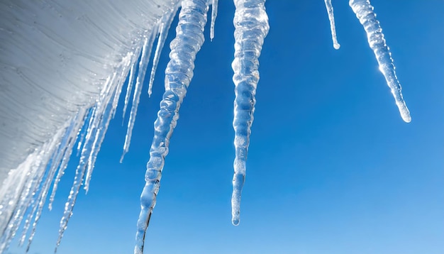 Sparkling Icicles in Morning Light