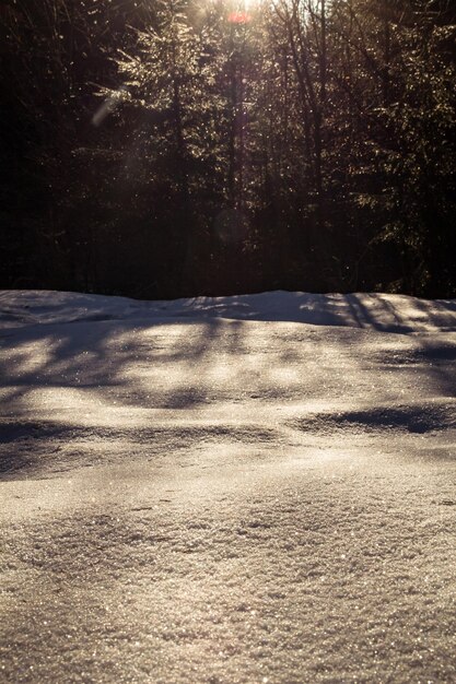 Sparkling snowflakes falling snow covered ground landscape photo