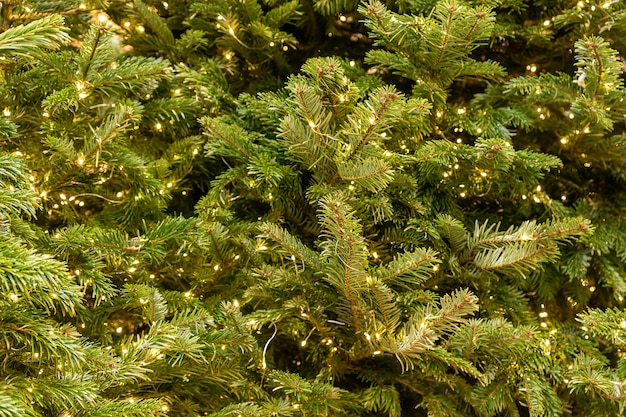 Sparrenboom met guirlande. Nieuwjaar en Kerstmis achtergrond.