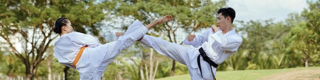 Sparring taekwondo athletes