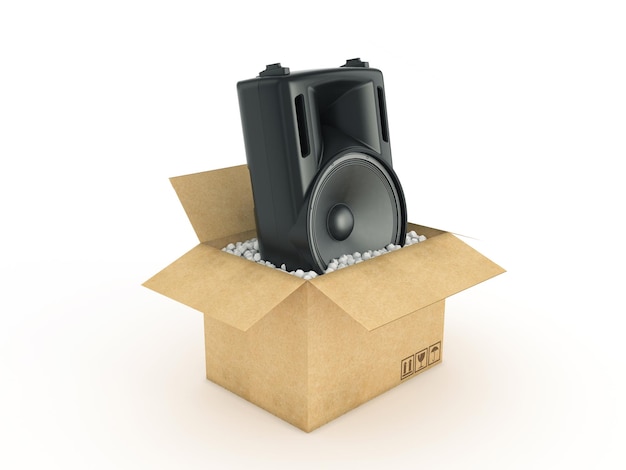 speakers in cardboard box