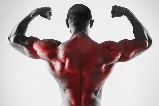 Photo specialization for back muscles in a bodybuilidng. muscular man showing his strong body.