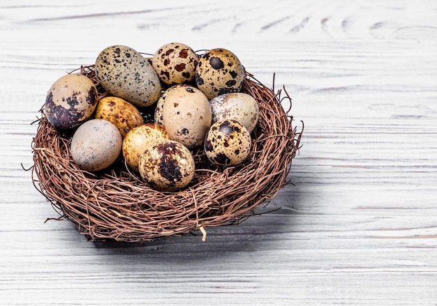 Speckled quail eggs in a nest made of twigs over the light wooden background Brown bezel with eggs Space for text