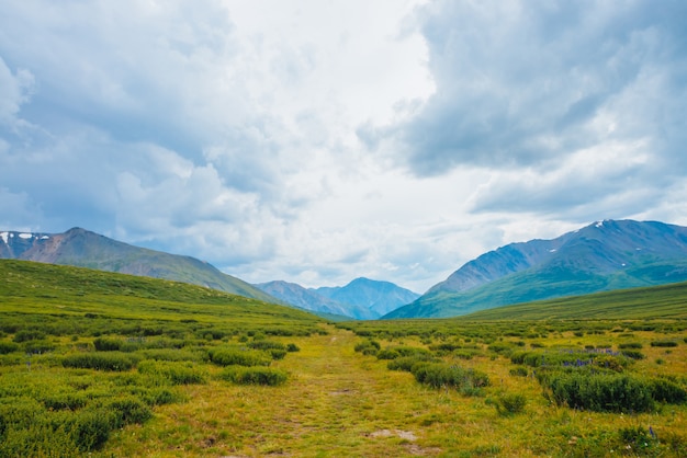 Spectaculair uitzicht verre reuzenbergen. Voetpad door vallei in hooglanden. Wandelpad. Prachtige enorme bergketen onder bewolkte hemel. Verbazingwekkend dramatisch groen landschap van majestueuze natuur.