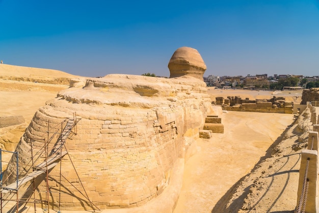 The spectacular Sphinx of Giza in the city of Cairo Egypt