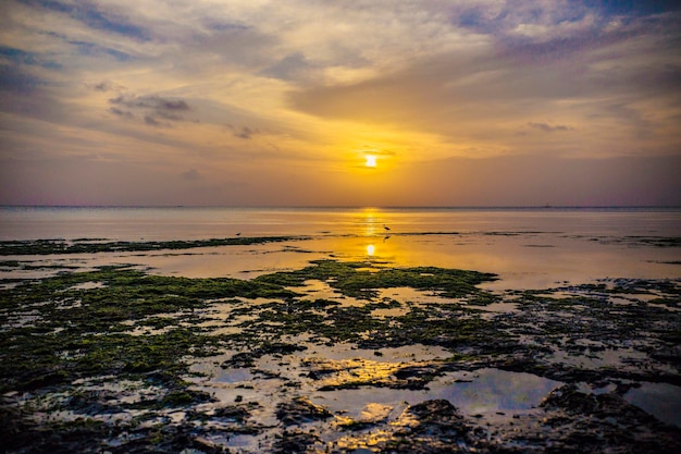 Spectacular Zanzibar sunset. Beautiful sunset during low tide on the beach of Kizimkazi village