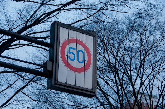 Speed limit at 50 kmph traffic sign with dried tree branches