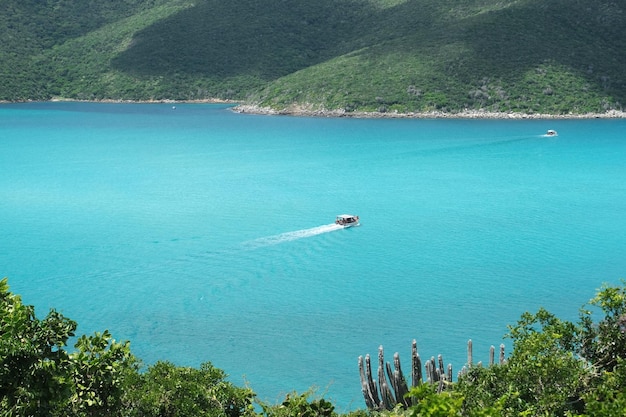 Speedboat float on blue water against of green mountains with cacti in the foreground