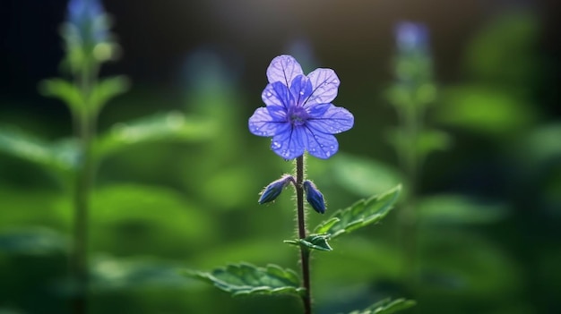 Speedwell-bloem bloeide prachtig met natuurlijke achtergrond Generatieve AI