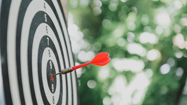 Speel dartbordspel in de tuin. Zakelijk succes en doel. Training en activiteit thuis.