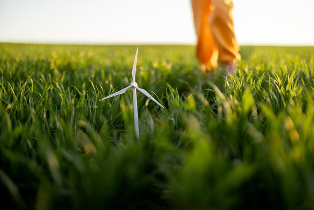 Speelgoed windgenerator op groen veld