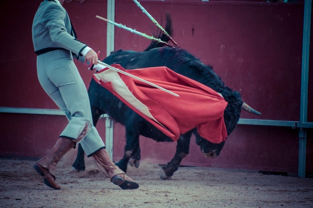 Spektakel van het stierenvechten, waar een stierenvechten een stierenvechter spaanse traditie