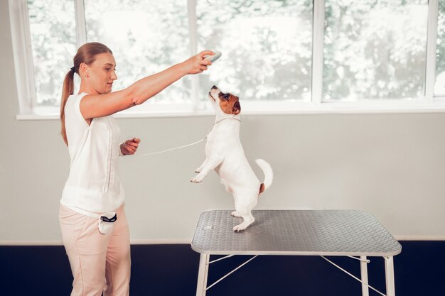 Spelen met hond. mooie hondenspecialist voelt zich druk en vrolijk tijdens het spelen met leuke hond