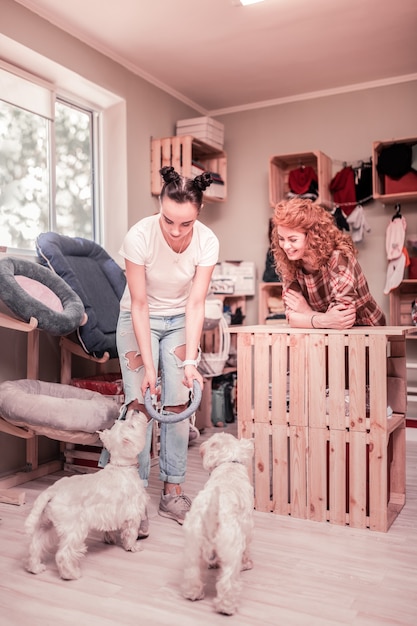 Spelen met honden. donkerharige jonge vrouw met een wit t-shirt aan het spelen met twee honden