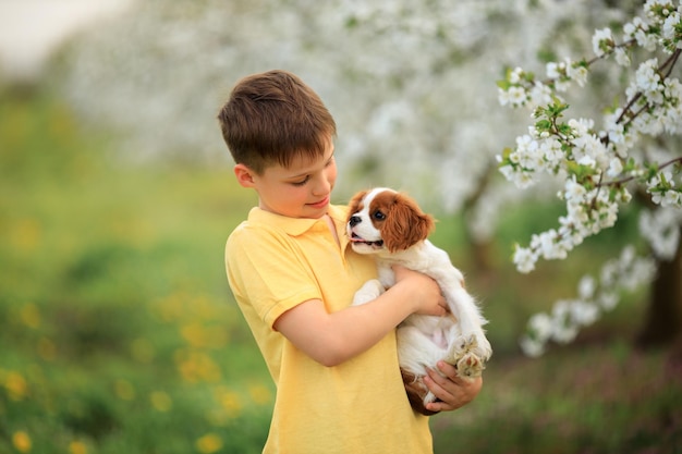 Spelletjes met een huisdier op straat jongen die loopt en plezier heeft met zijn spanielpuppy