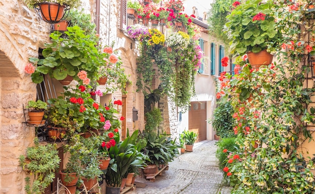 Spello, Italy - Circa June 2021: flowers in ancient street. Spello is located in Umbria region, Italy.