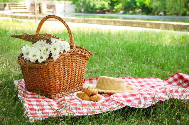 Пикник на поле с ромашками