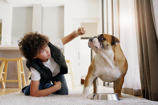 毛皮で覆われた友人と過ごす時間床に横になって家で犬と遊んでいる少年の全身ショット