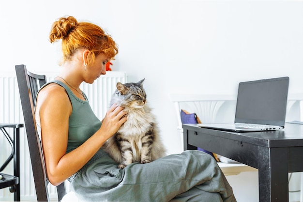 Spending time with your cat