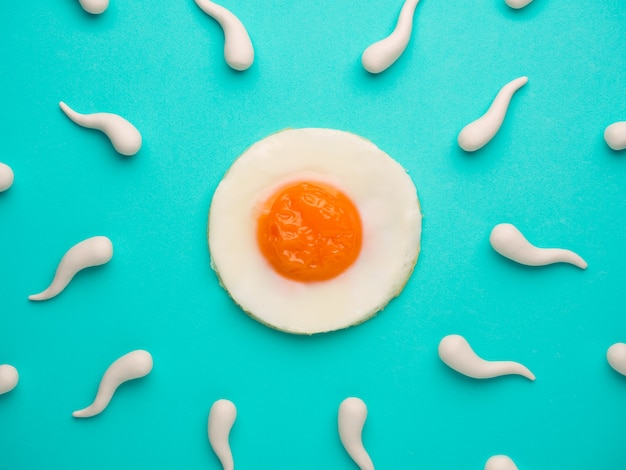 Sperm competition go to fried egg