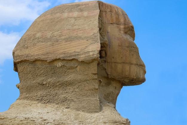 Sphinx head close-up. Blue sky. Giza Egypt