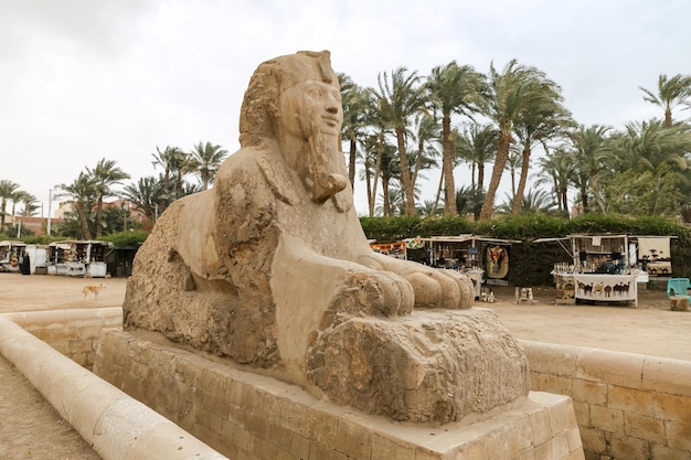 Sphinx in Memphis, Caïro, Egypte