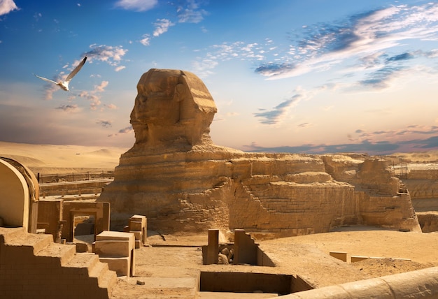 Sphinx and pyramid in the egyptian desert