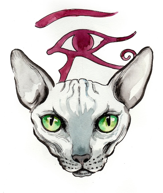 Голова кошки сфинкса/ Рисунок тушью и акварелью
