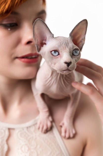 Sphynx Haarloze kitten blauwe nerts en witte kleur zittend op de schouder van een jonge vrouw