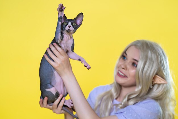 Sphynx kitten with raised paw sits in hands of young woman cosplay elf on yellow background