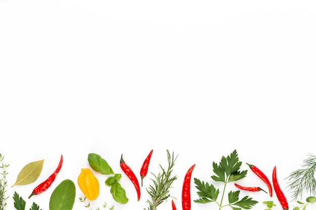 Spice herbal leaves and chili pepper on white