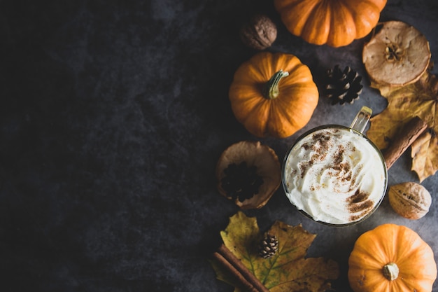 Spiced autumn pumpkin latte drink with cinnamon and cream foam 