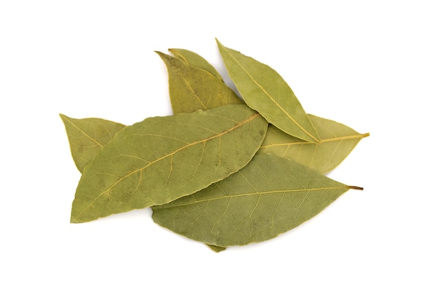 Spices bay leaves isolated on white isolated