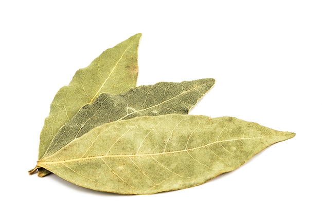 Spices bay leaves isolated on white