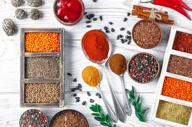 Spices and condiments for food