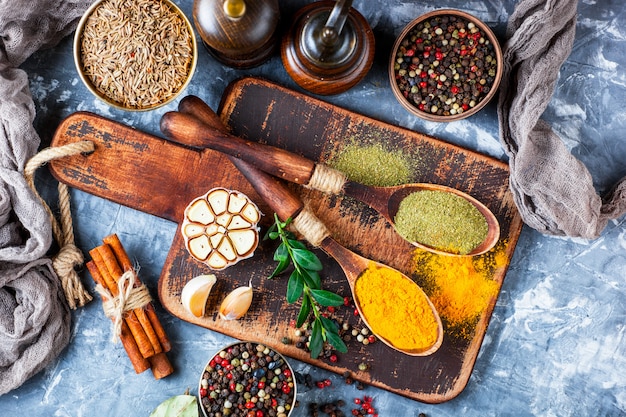 Spices and condiments for food