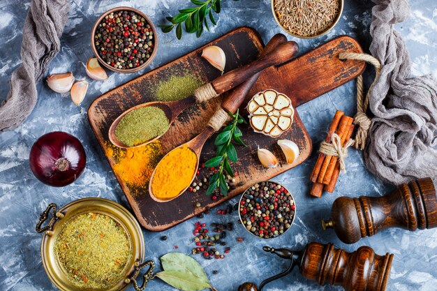 Spices and condiments for food